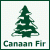 Canaan Fir Christmas Tree Canaan Fir Christmas Tree